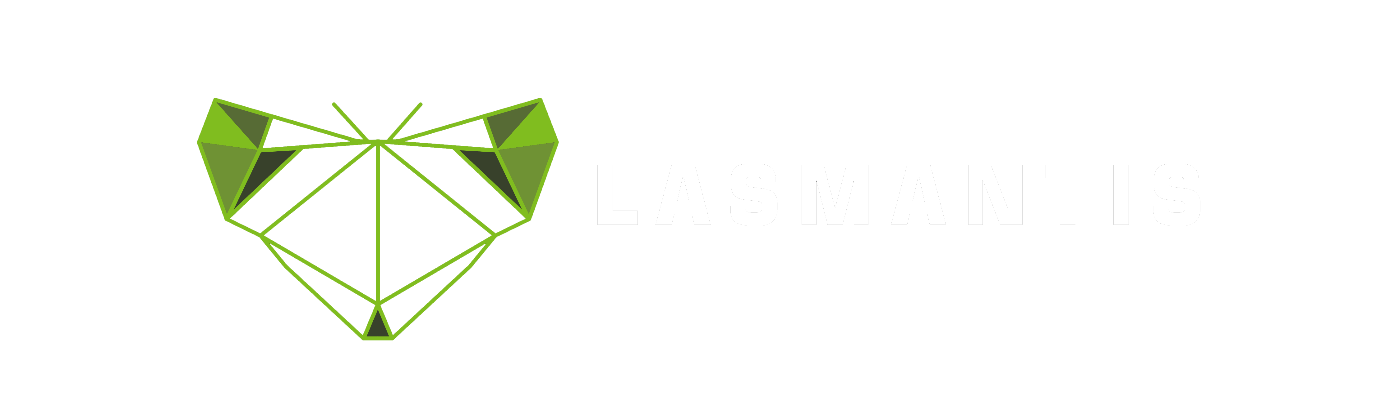 Lasmantis Arquitectura